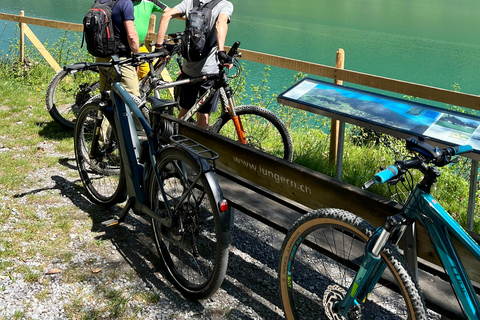 Luzern: privé-tour met e-bike langs 4 meren en boottocht op het VierwoudstedenmeerLuzern: privé-tour met e-bike langs 4 meren en cruise op het Vierwoudstedenmeer