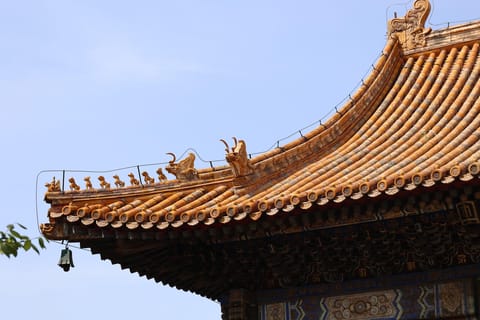 Beijing: Lama Temple, Summer Palace & Guozijian Private Tour