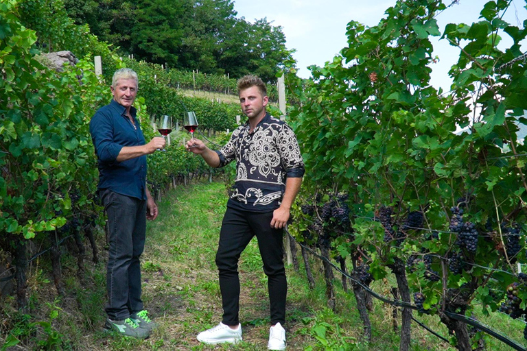 vineyard experience experience in the vineyard