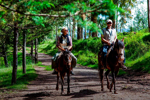 Ica : Randonnée à cheval dans le ranch La Caravedo