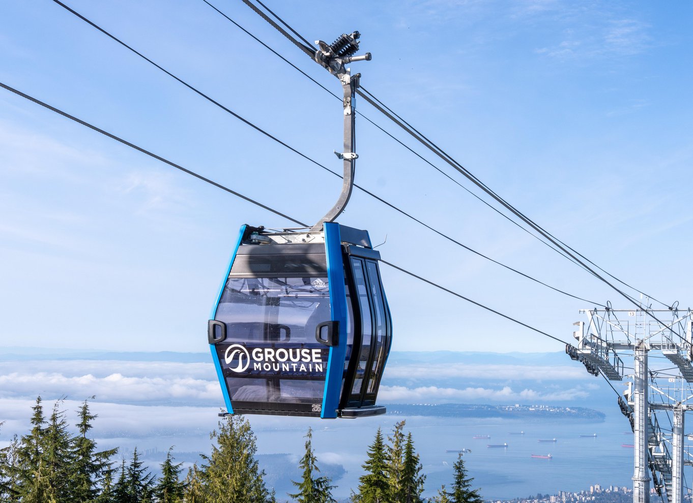 Adgangsbillet til Grouse Mountain Skyride