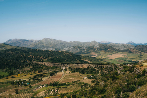 Ronda: Andalusian Panoramic Valley Horseback Experience