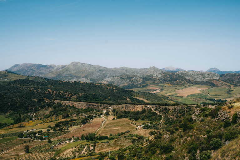 Ronda: Andalusian Panoramic Valley Horseback Experience