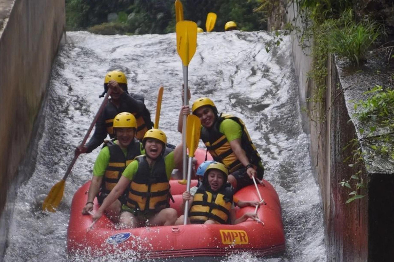 Ubud : Rice Teracces, Gorila Face ATV & RaftingPour les voyageurs en solo qui réservent cette