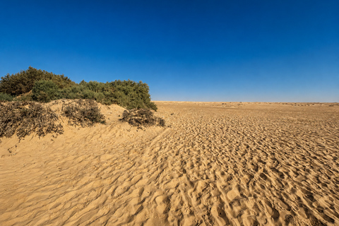 From Cairo: 4x4 Desert Safari, Waterfalls & Magic Lake Shared Tour: Wadi El Rayan, Magic Lake & Lake Qarun, Jeep