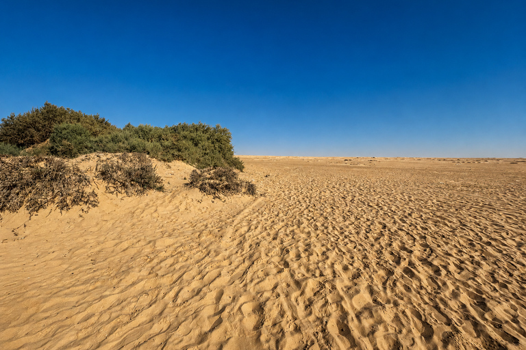 From Cairo: 4x4 Desert Safari, Waterfalls & Magic Lake Shared Tour: Wadi El Rayan, Magic Lake & Lake Qarun, Jeep