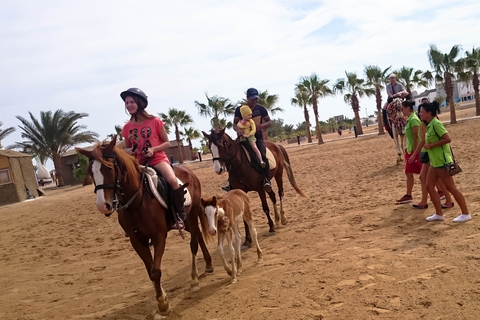 Desde Hurghada: Excursión a Caballo por la Bahía de Makadi