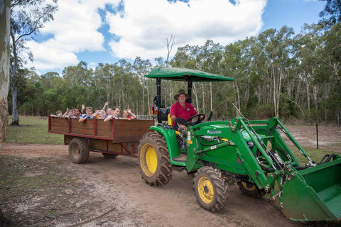 From Brisbane: White Ridge Farm - Animal Farm