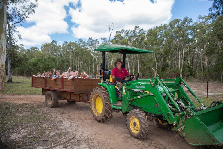 From Brisbane: White Ridge Farm - Animal Farm