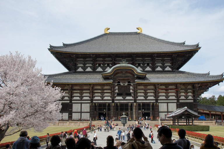 Kyoto & Nara Customized Private English Guided Tour