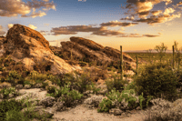 Tucson, Mt Lemmon & Saguaro NP Self-Guided Bundle Tour - Hizvo