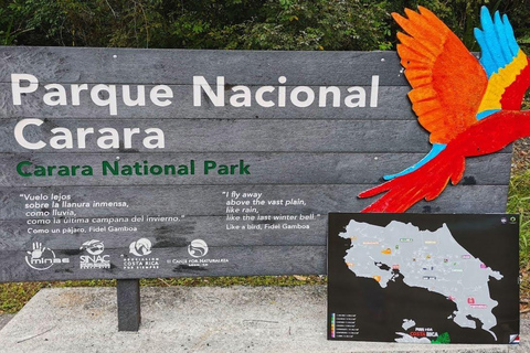 Parque Nacional de Carara: Paseo guiado Carara Costa Rica Naturaleza