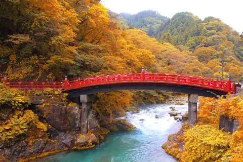 From Tokyo: Private Trip to Nikko and Lake Chuzenji