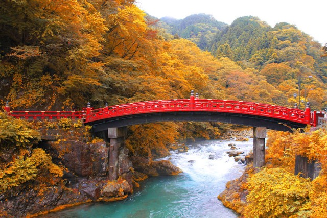 Visit From Tokyo Private Trip to Nikko and Lake Chuzenji in Tokyo and Nikko