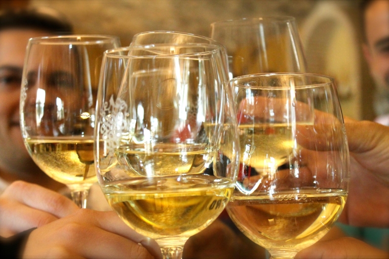 Alicante : visite des vignobles et dégustation de vins