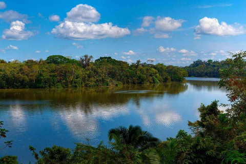 Tambopata Jungle | Lake Sandoval + Monkey Island 4D/3N