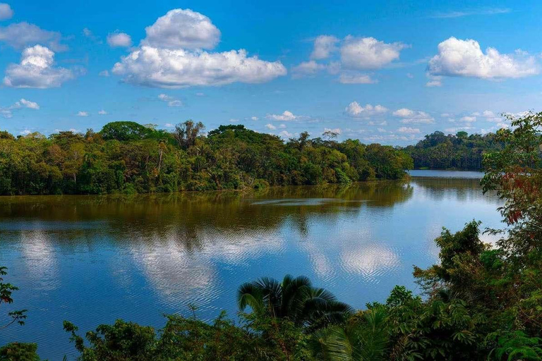 Tambopata Jungle | Lake Sandoval + Monkey Island 4D/3N