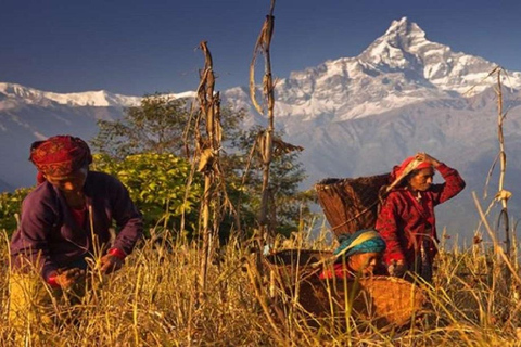 Caminhada de um dia inesquecível de Pokhara a Annapurna Foothills