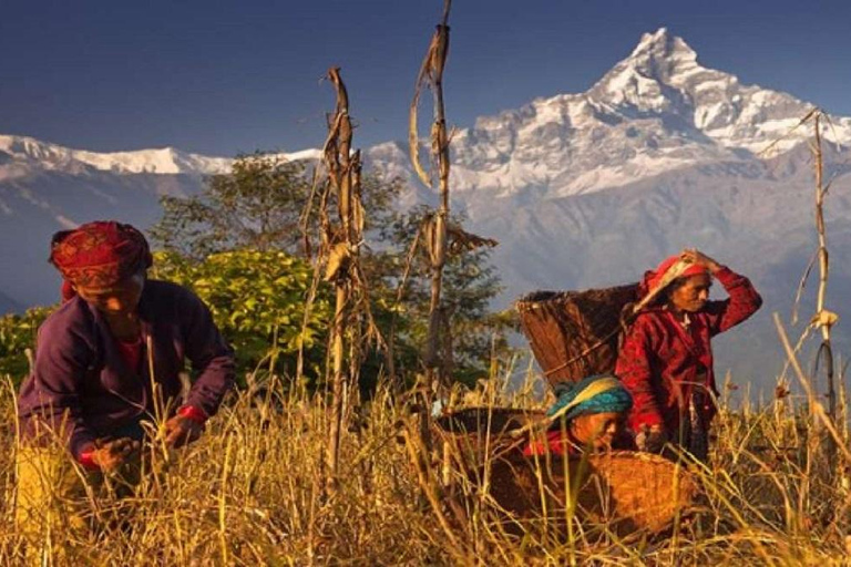 Oförglömlig dagsvandring från Pokhara till Annapurna Foothills