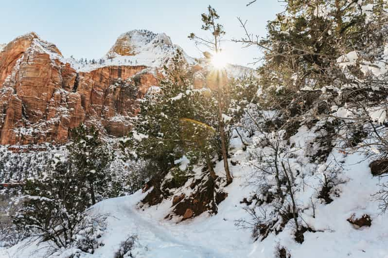 From Springdale Hour Zion Canyon Scenic Hiking Tour GetYourGuide