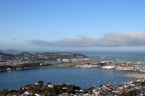 Descubre Wellington - Tour de la ciudad de 3 h