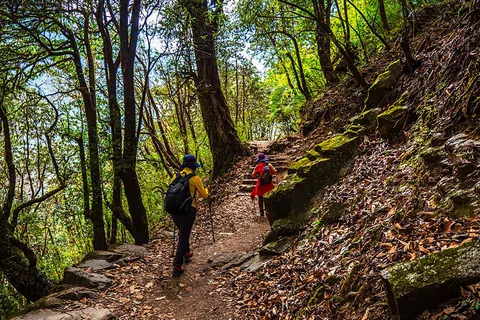 Kathmandu: Shivapuri Day Hike with Lunch
