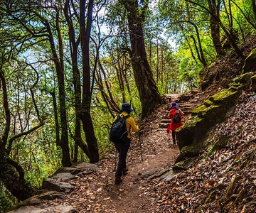 Kathmandu: Shivapuri Day Hike with Lunch