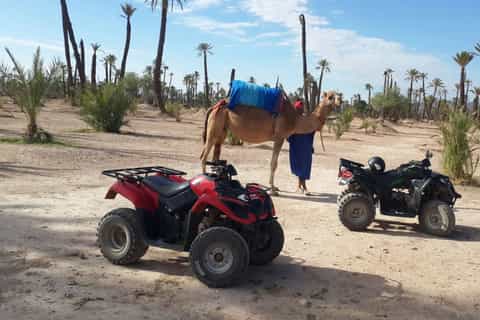 1-Hour Camel Ride and 2-Hour Quad Bike Ride in Marrakech