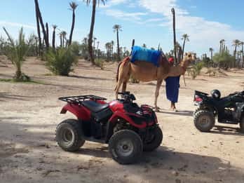 Marrakesch: 1-stündiger Kamelritt und 2-stündige Quadfahrt Marrakesch: 1-stündiger Kamelritt und 2-stündige Quadfahrt