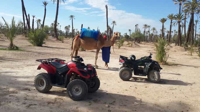 marrakech balade de 1 h en chameau et balade de 2 h quad