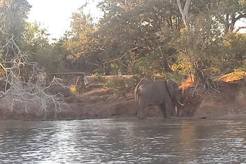 Victoria Falls: Standard Sunset Cruise