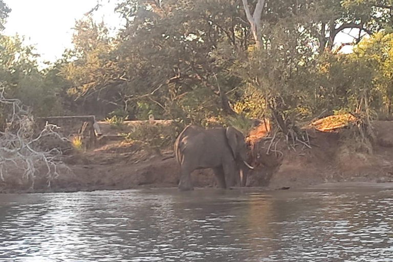 Victoria Falls: Standard Sunset Cruise