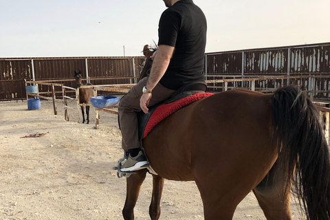 Excursiones de 3 horas a caballo árabe en el desierto de Qatar.