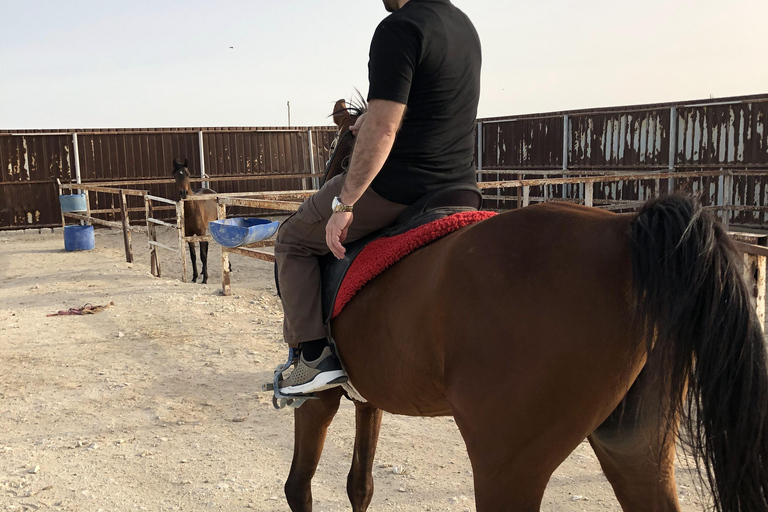 Excursiones de 3 horas a caballo árabe en el desierto de Qatar.