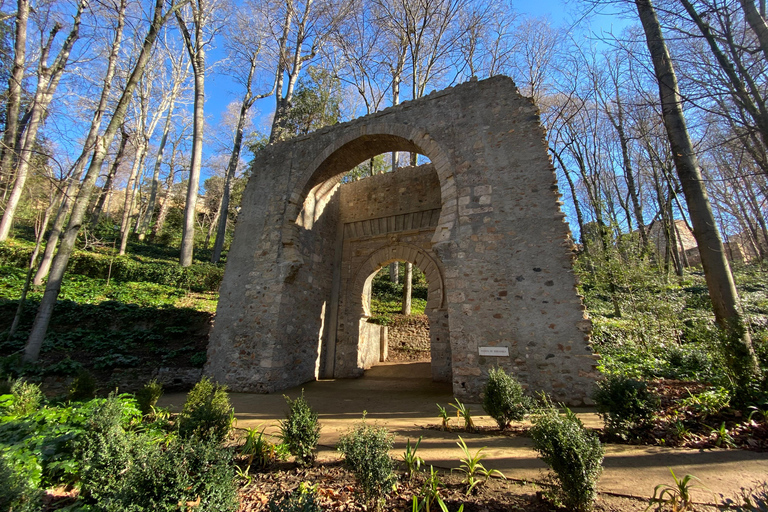 Essential Granada: Alhambra, Two Rivers, Three Worlds Essential Granada: Alhambra, Two Rivers, Three Worlds (E)