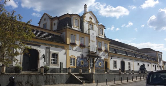 Arrábida: Full-Day Private Tour with Wine Tasting