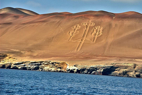 Vanuit Ica: Ballestas Eilanden + Paracas Nationaal Reservaat