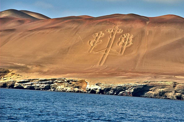 Von Ica: Ballestas-Inseln + Paracas-Nationalreservat