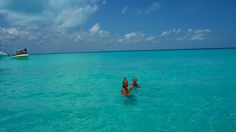 From Cancún Half Day Snorkeling with Whale Sharks GetYourGuide