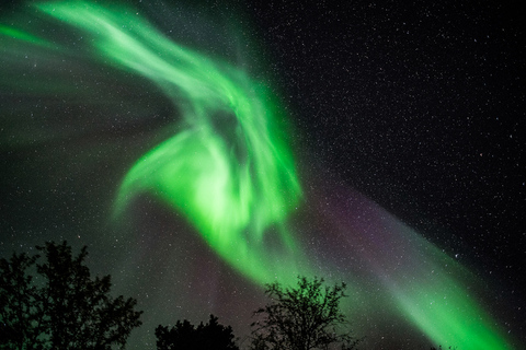 Tromsø: Excursão de microônibus para a perseguição da aurora boreal com fogueira