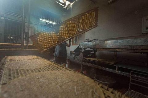 Från Hanoi: Tho Ha Village halvdagsutflykt med foto