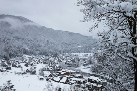 Lyon: Private Scenic Drive to Val&#039;Isère with Alpine Stops