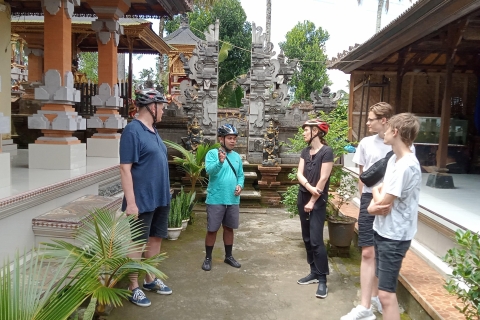 Excursion culturelle à Ubud en vélo de descente et visite des rizières en terrassesOption standard