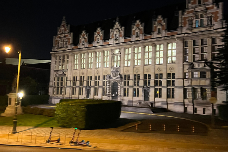 Bruxelles : Visite en bus du coucher du soleil et grande roue &quot;The View