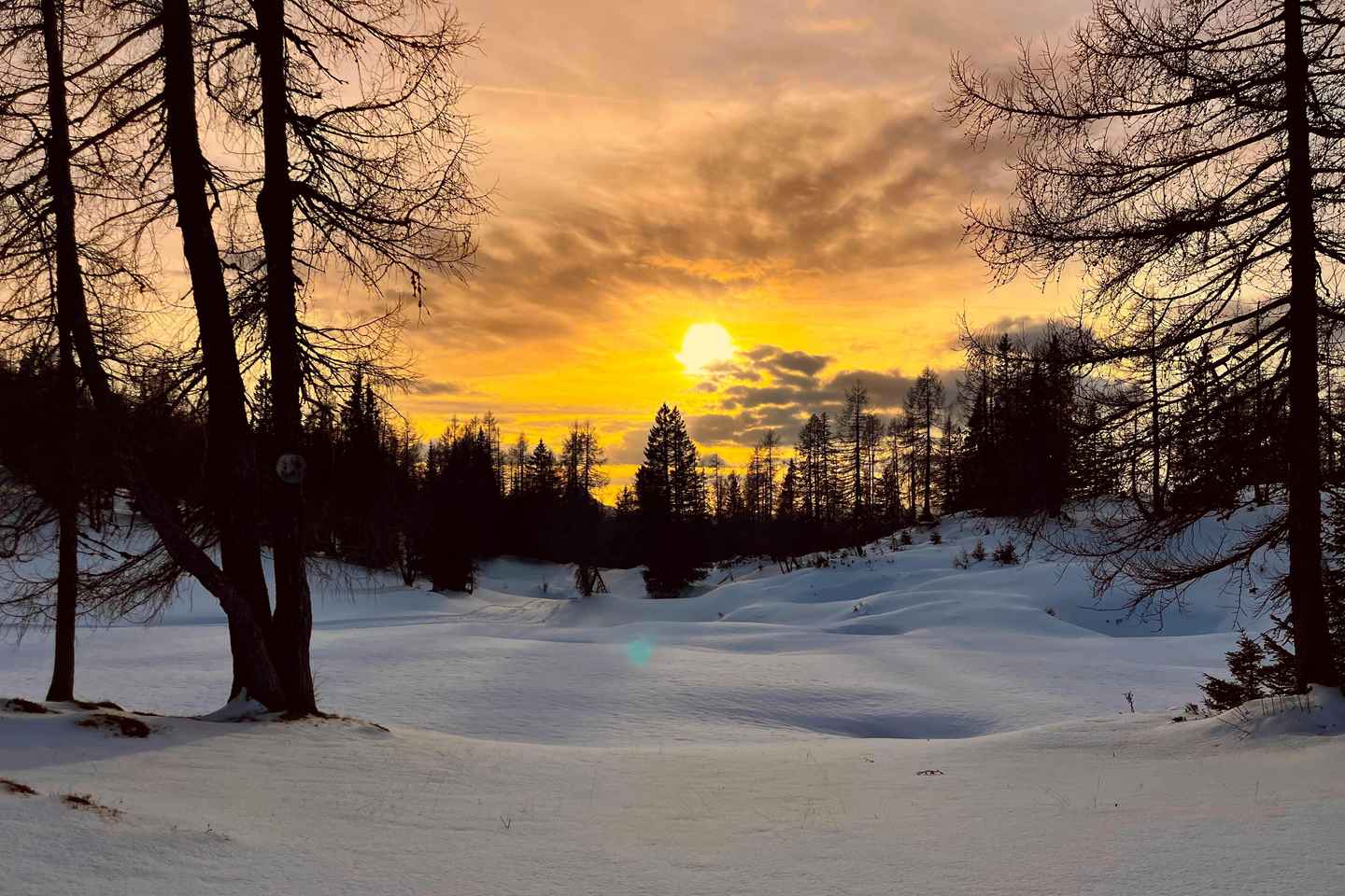 Tauplitz: Snowshoeing Adventure for Beginners - Tauplitz: Snowshoeing Adventure for Beginners
