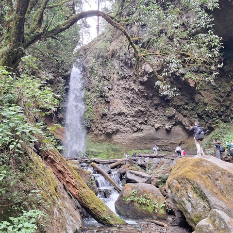 Mexico City: Bubble Waterfall Private Hike with Pickup