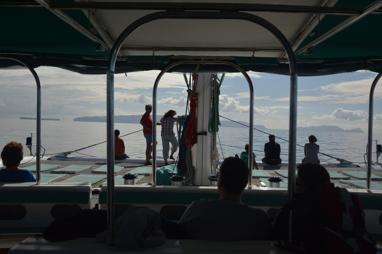 Excursion en catamaran d'une journée entière dans les îles Desertas au départ de Funchal