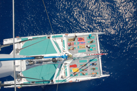 Excursion en catamaran d'une journée entière dans les îles Desertas au départ de Funchal