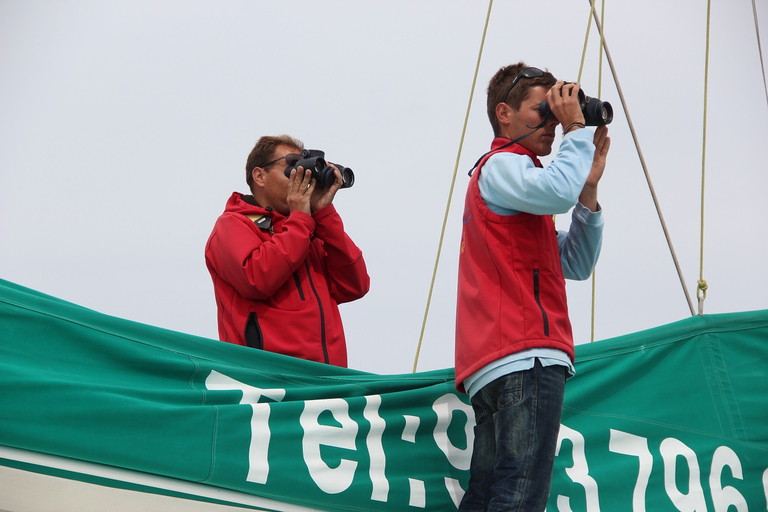 Tour en catamarán a las islas Desertas desde Funchal