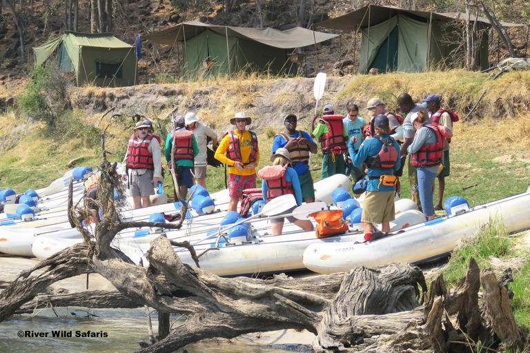 Victoria Falls: Canoeing - Upper Zambezi (Day Trail)